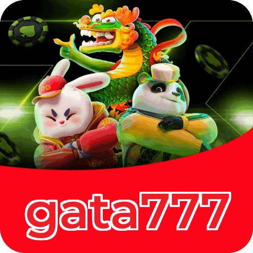 Suporte gata777