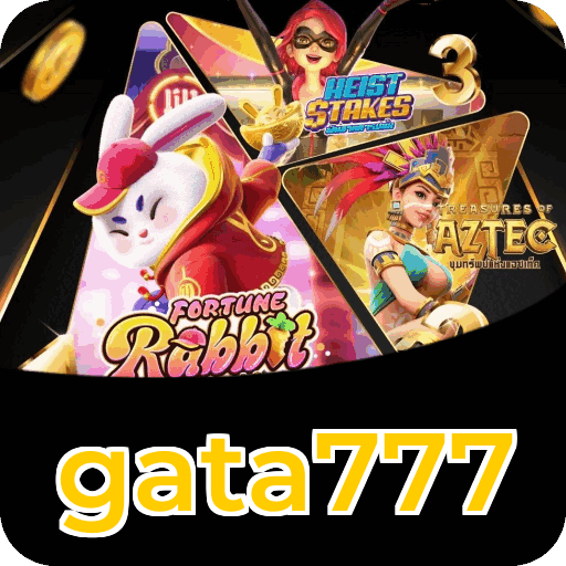 Segurança gata777
